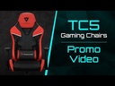 youtube - [Video]